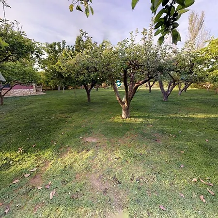 Senda De Higueras San Pedro de Latarce