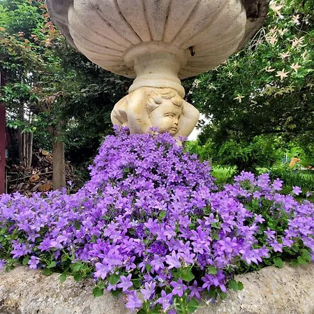 Senda De Higueras San Pedro de Latarce