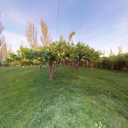 Senda De Higueras * San Pedro de Latarce