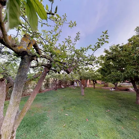 Senda De Higueras San Pedro de Latarce