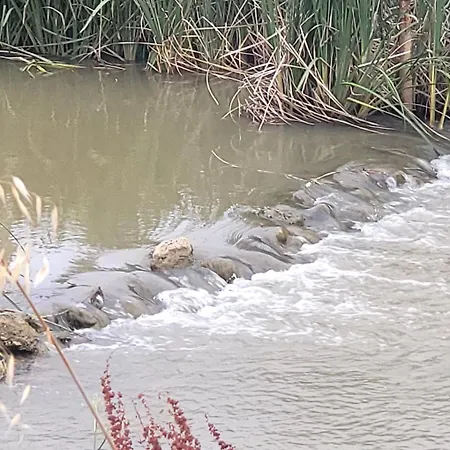 Senda De Higueras San Pedro de Latarce