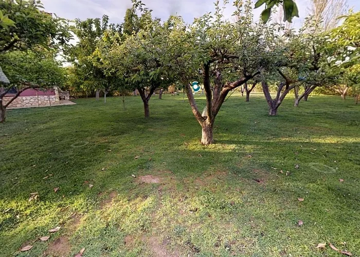 Senda De Higueras San Pedro de Latarce