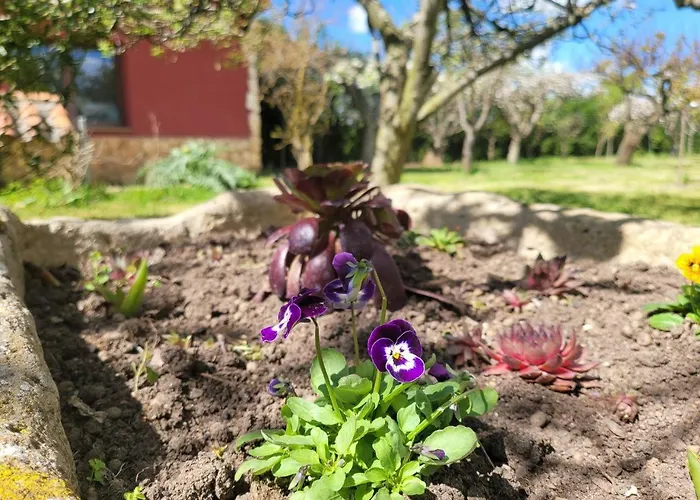 Senda De Higueras וילה San Pedro de Latarce