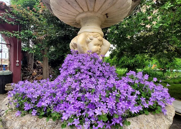 Senda De Higueras San Pedro de Latarce