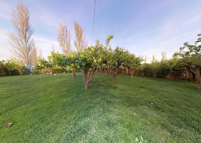 Senda De Higueras * San Pedro de Latarce