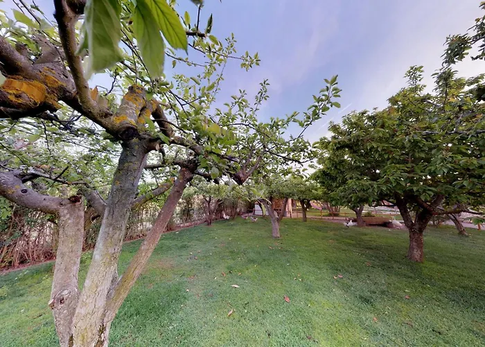 Senda De Higueras San Pedro de Latarce