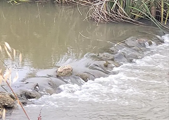 Senda De Higueras San Pedro de Latarce